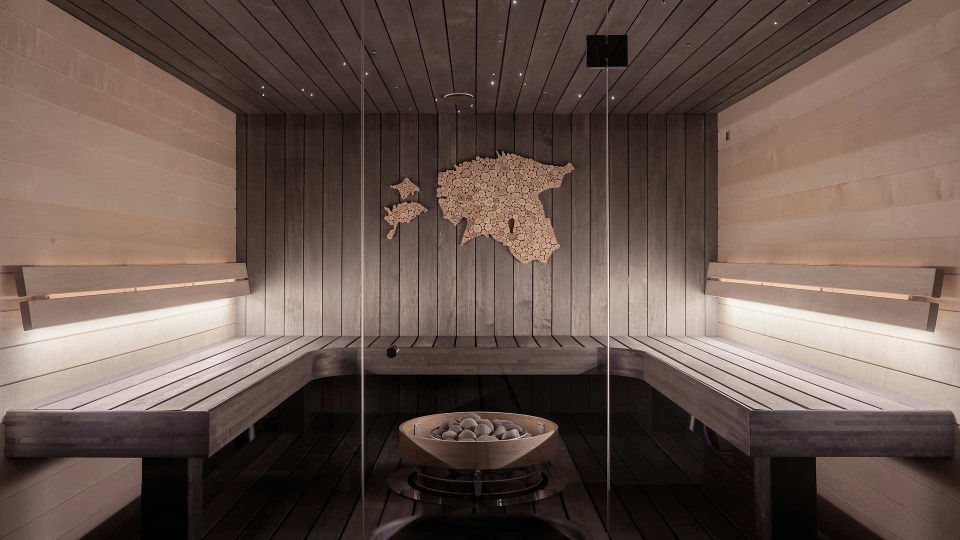 Customer loyalty analytics