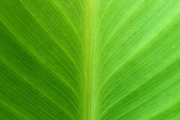 Professional beauty salon